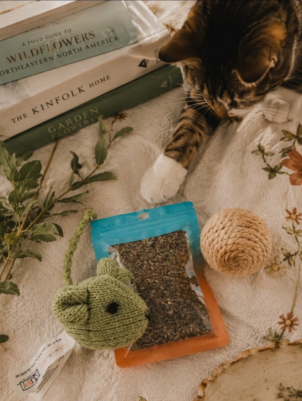 4/$15 Catnip Toy Bundle W/ Green Knit Mouse and Natural Sisal Ball Natural Home